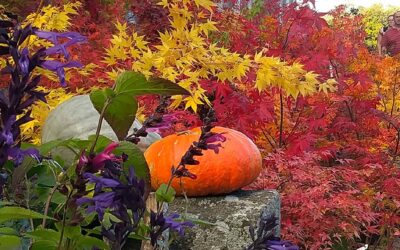 Élagage d’arbres à Molière-Cavaillac en hiver : prévenir les risques liés aux intempéries