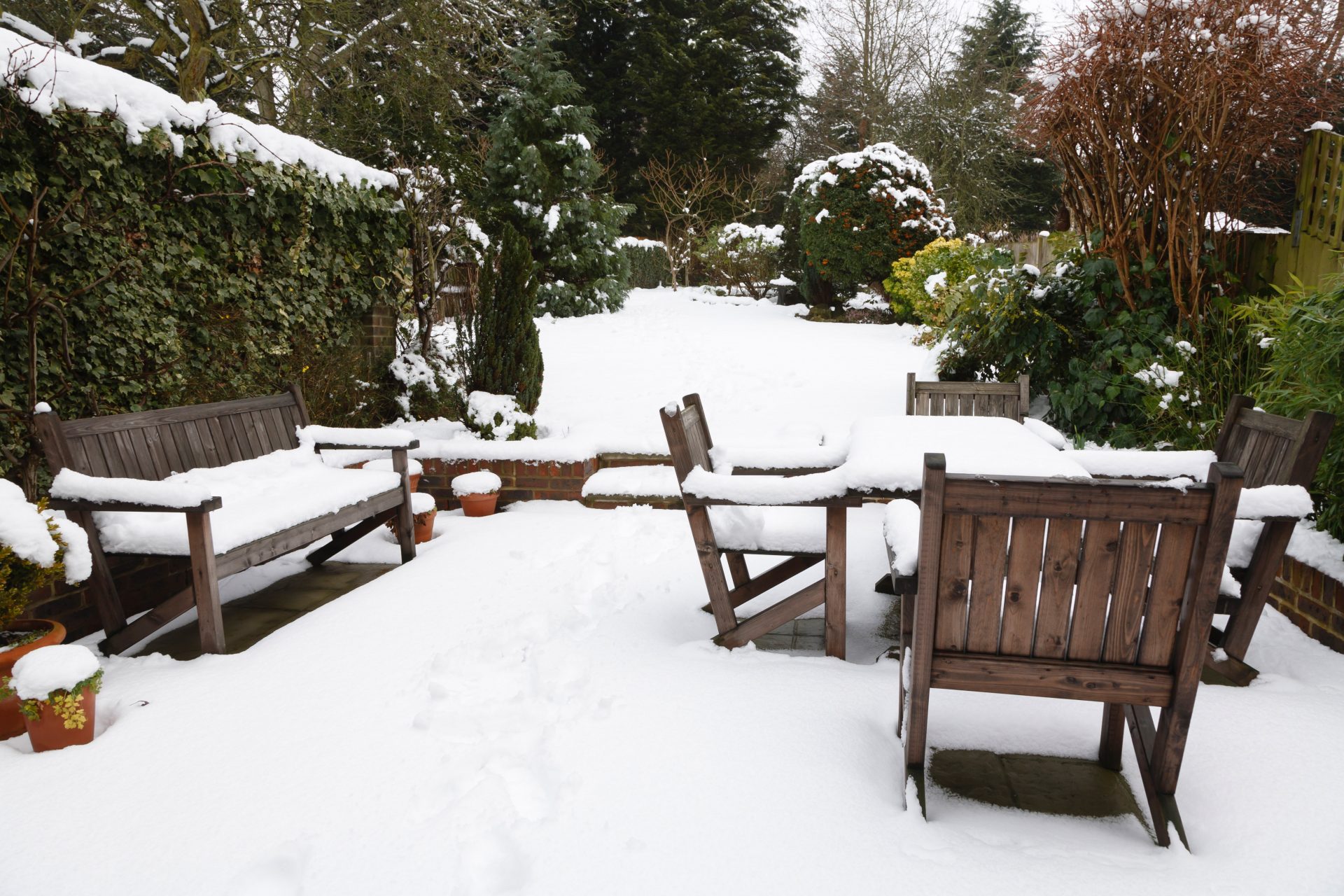 Tractopel dans un jardin