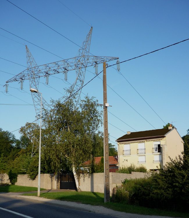 Elagueur attachés avec une corde